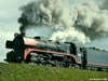Loco R707